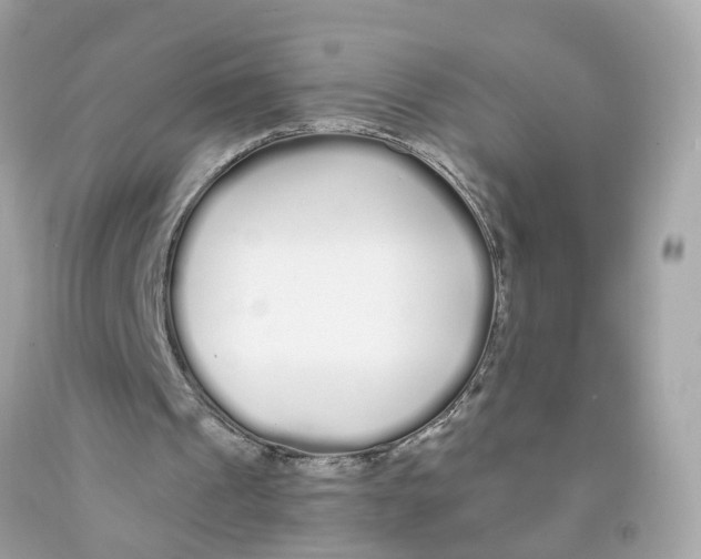 X0000091090241200709041308