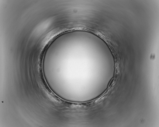 X0000091090242200709041308