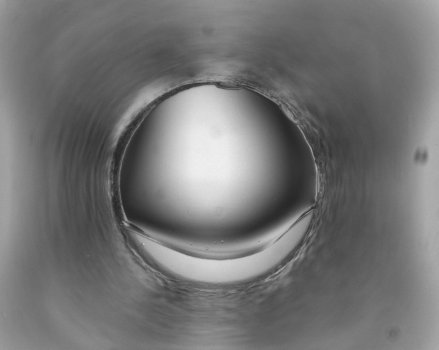 X0000091090244200709041308