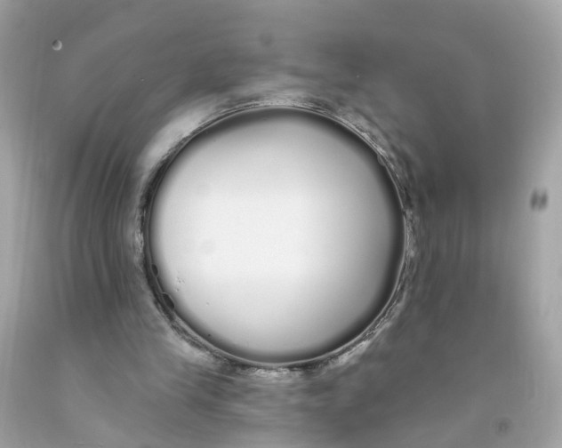 X0000091090245200709041308
