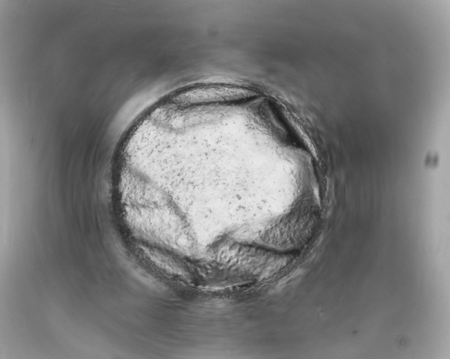 X0000091090247200709041308