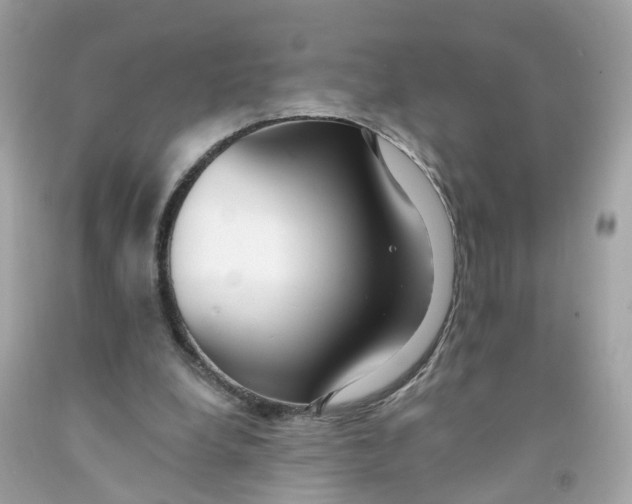 X0000091090248200709041308
