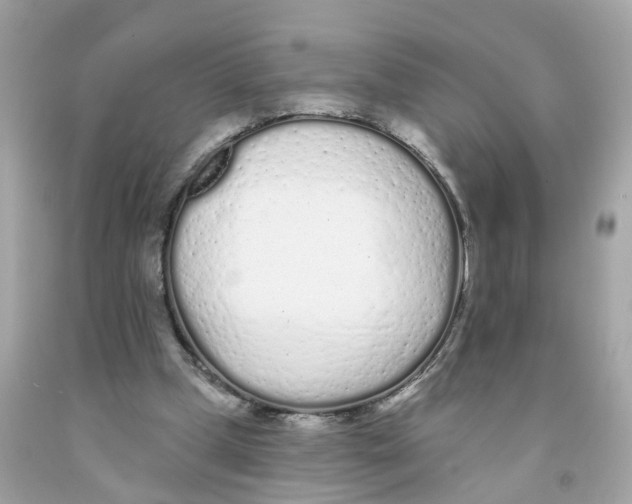 X0000091090249200709041308