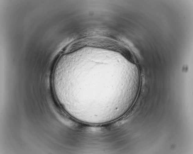 X0000091090250200709041308