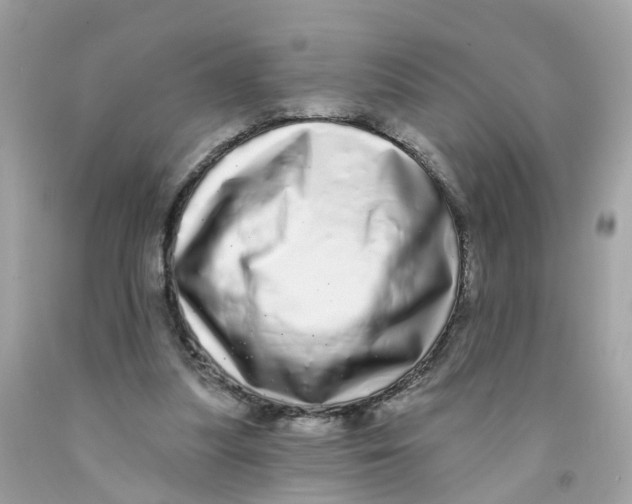 X0000091090251200709041308