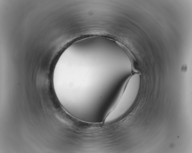 X0000091090252200709041308