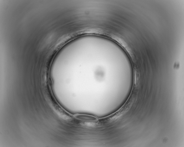 X0000091090253200709041308