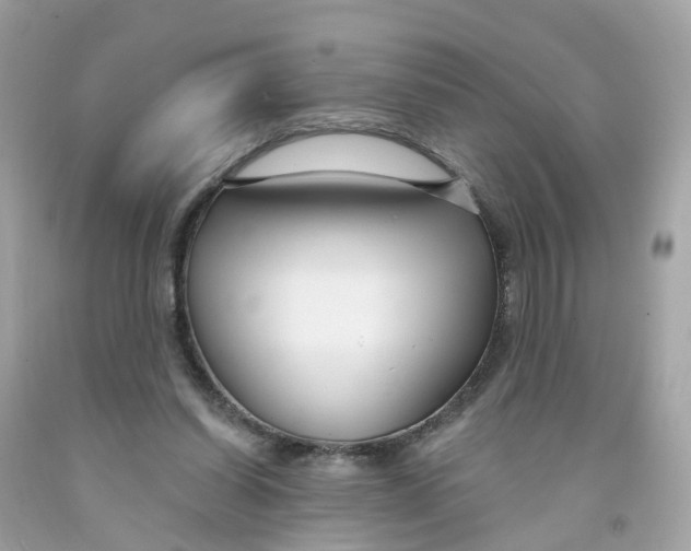 X0000091090254200709041308
