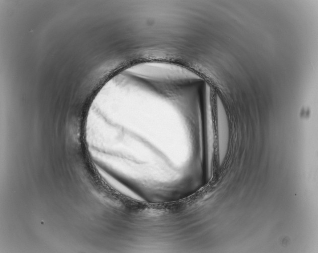 X0000091090255200709041309