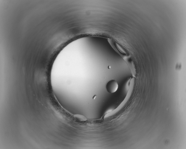 X0000091090256200709041309