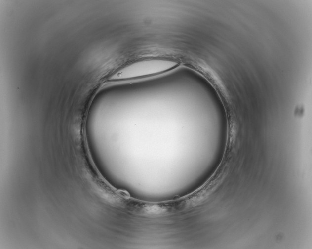 X0000091090257200709041309