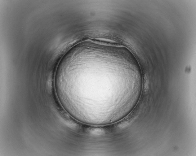 X0000091090258200709041309