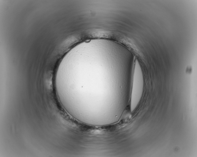 X0000091090259200709041309