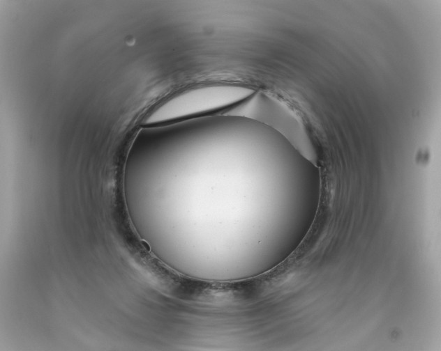 X0000091090260200709041309