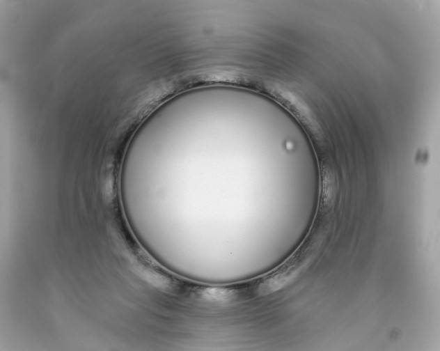 X0000091090261200709041309
