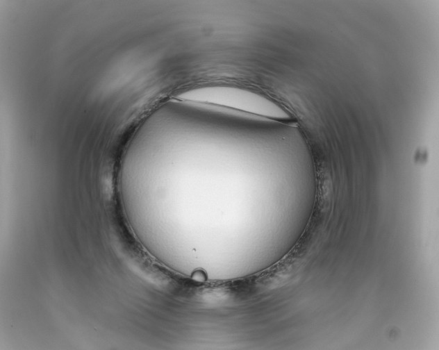 X0000091090262200709041309