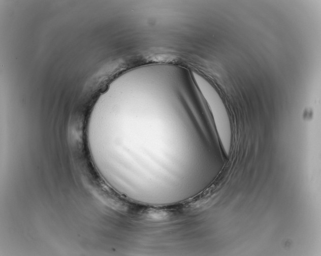 X0000091090263200709041309