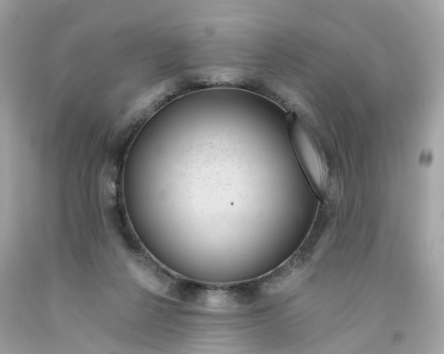 X0000091090264200709041309