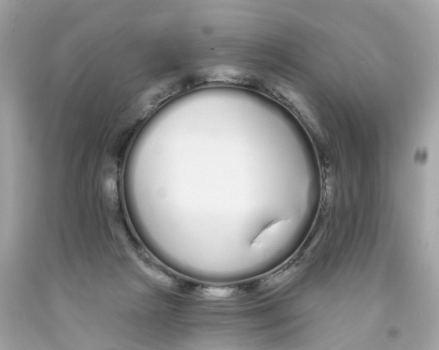 X0000091090265200709041309