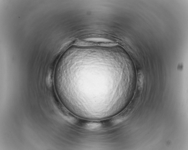 X0000091090266200709041309