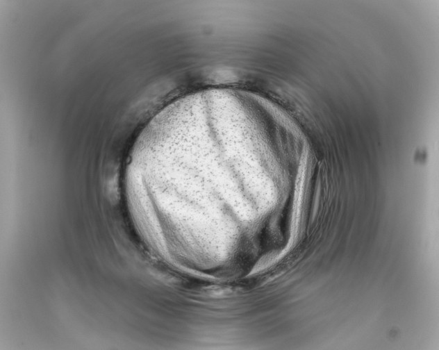 X0000091090267200709041309