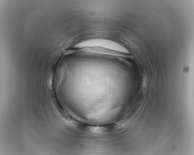 X0000091090268200709041309