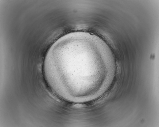 X0000091090269200709041309