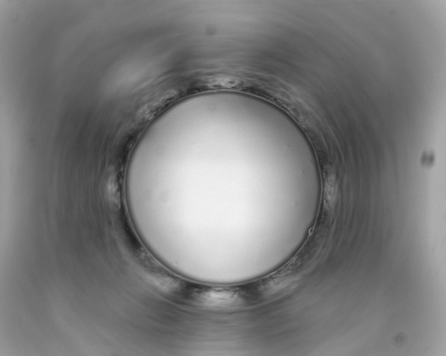 X0000091090270200709041309