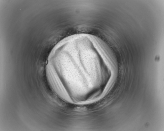 X0000091090271200709041309