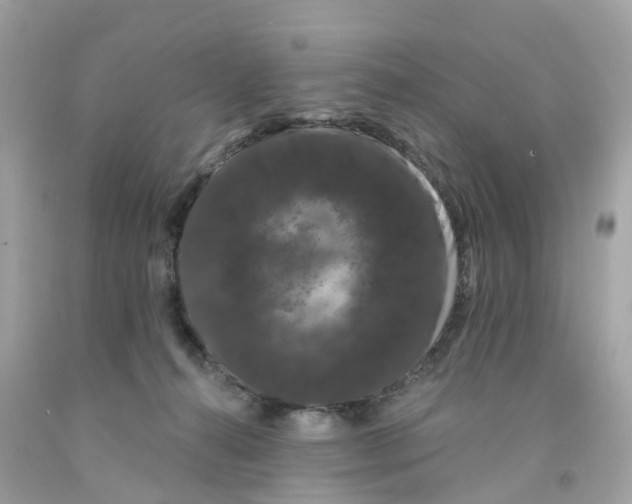 X0000091090272200709041309