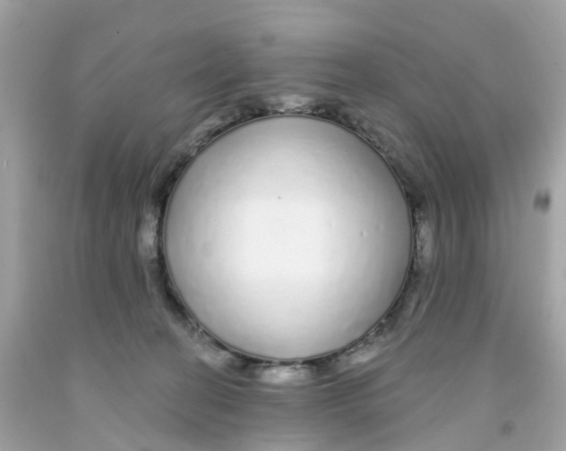 X0000091090274200709041309