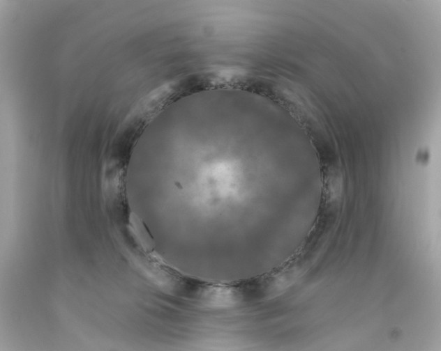 X0000091090276200709041309