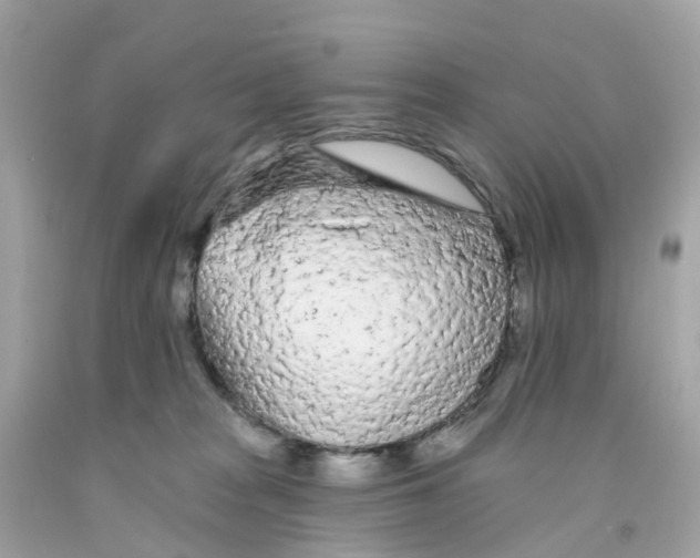 X0000091090277200709041309