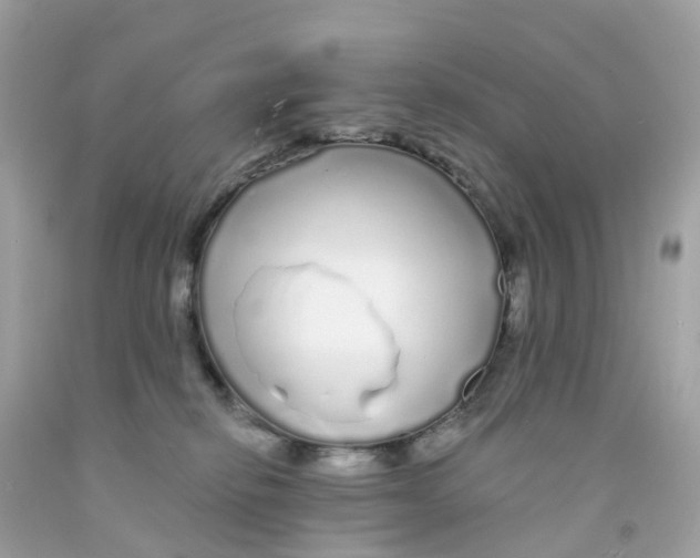X0000091090278200709041309