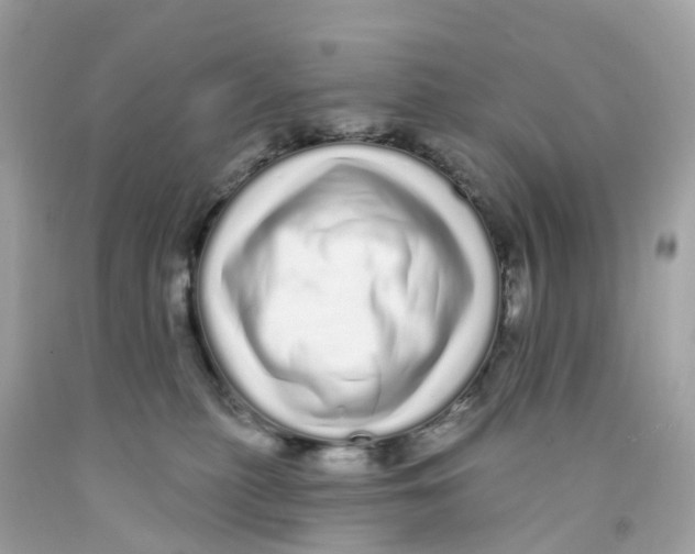 X0000091090279200709041309