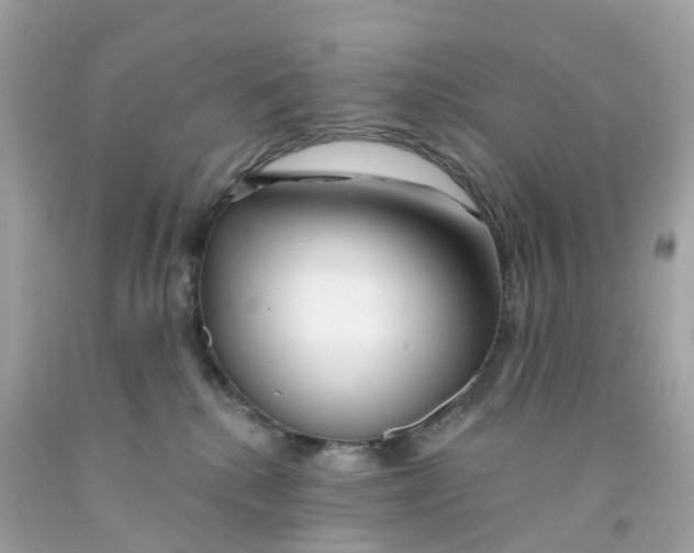X0000091090280200709041309
