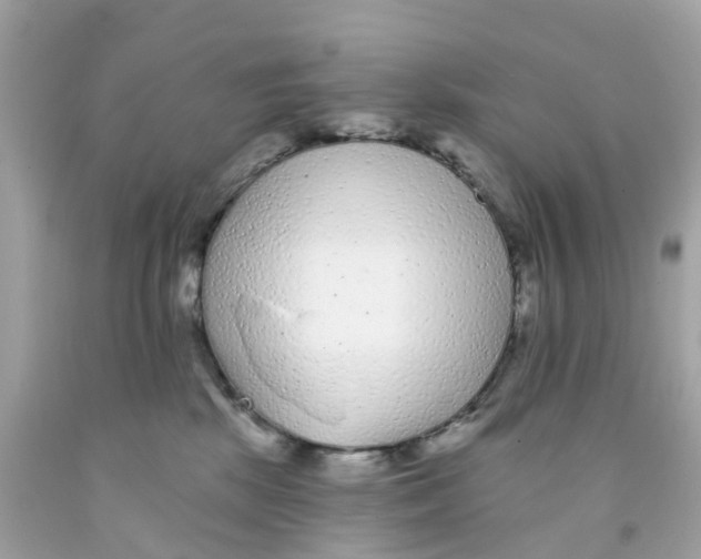 X0000091090281200709041309