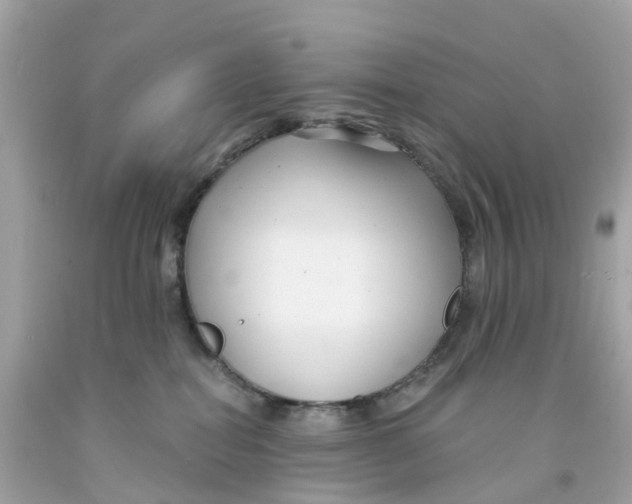 X0000091090282200709041309