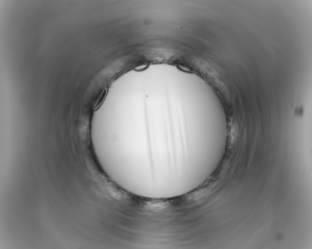 X0000091090283200709041309