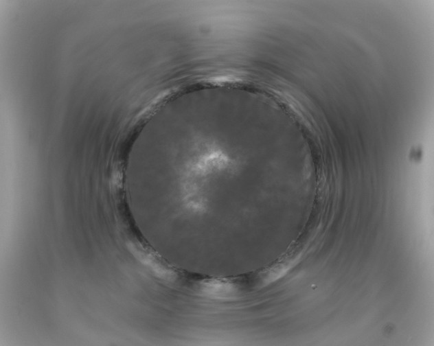 X0000091090284200709041309