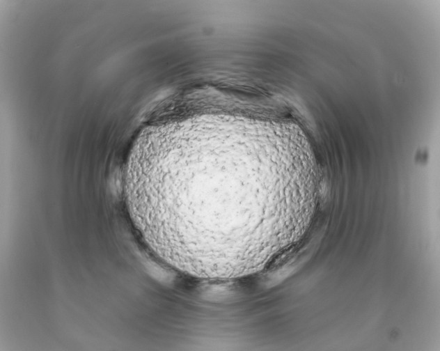 X0000091090285200709041309