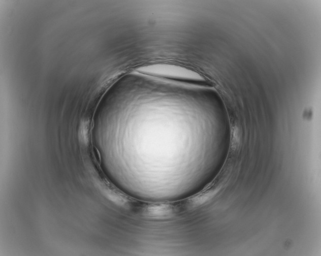 X0000091090286200709041309