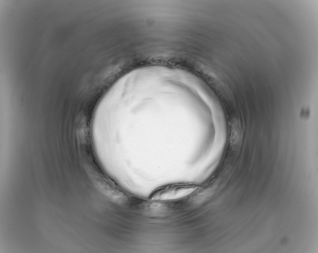 X0000091090287200709041309