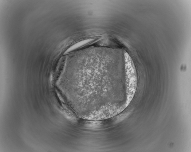 X0000091090288200709041309