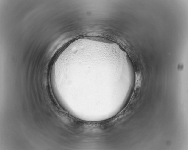 X0000091090291200709041308