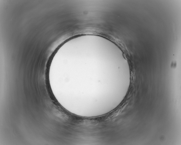 X0000091090292200709041308