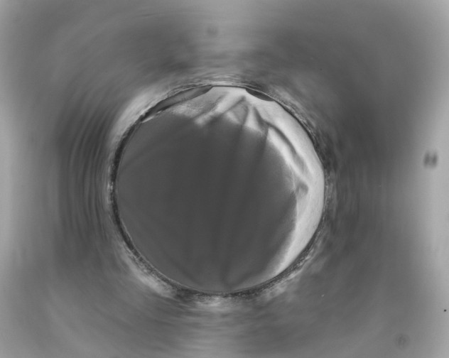 X0000091090293200709041308