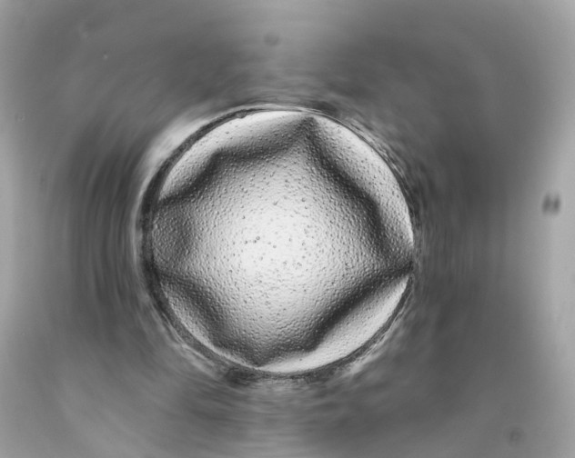 X0000091090294200709041308