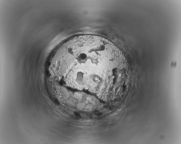 X0000091090295200709041308