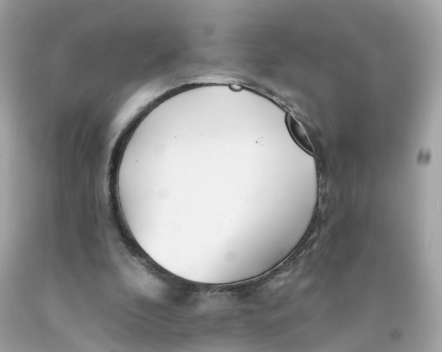 X0000091090296200709041308